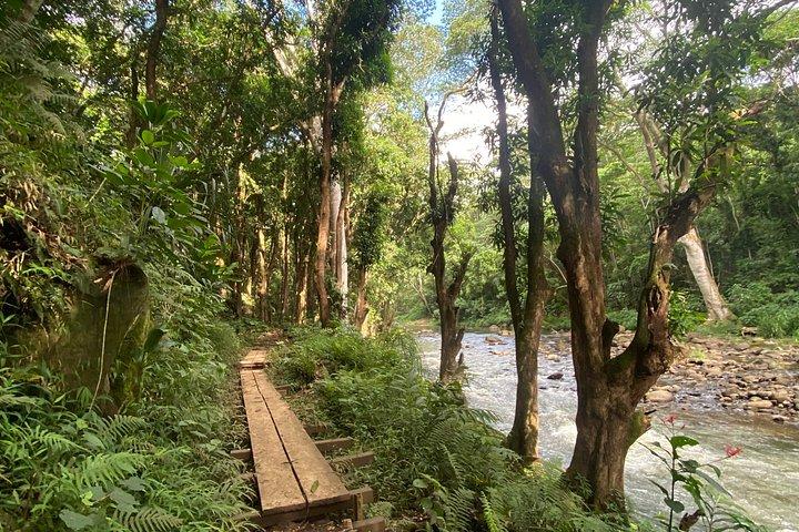 Kayak Rental on Wailua River