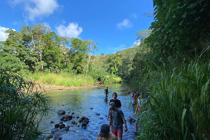 Kayak Rental on Wailua River