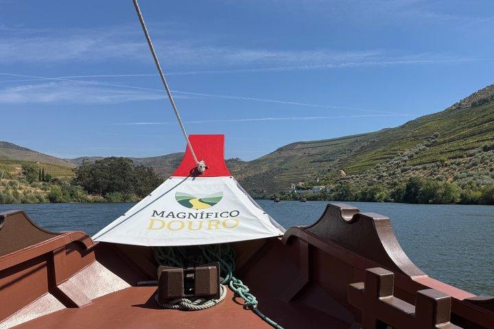 Douro-vallei en riviertour vanuit Porto met lunch en wijn