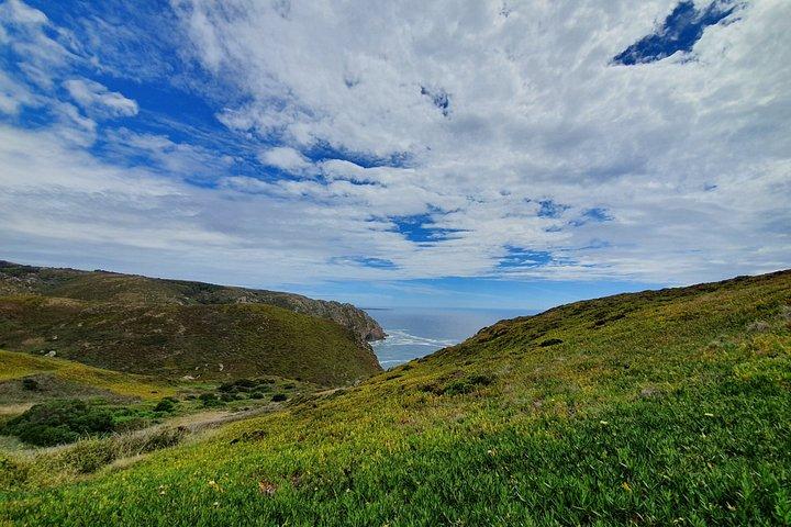Sintra, Cabo da Roca & Cascais Private Tour from Lisbon