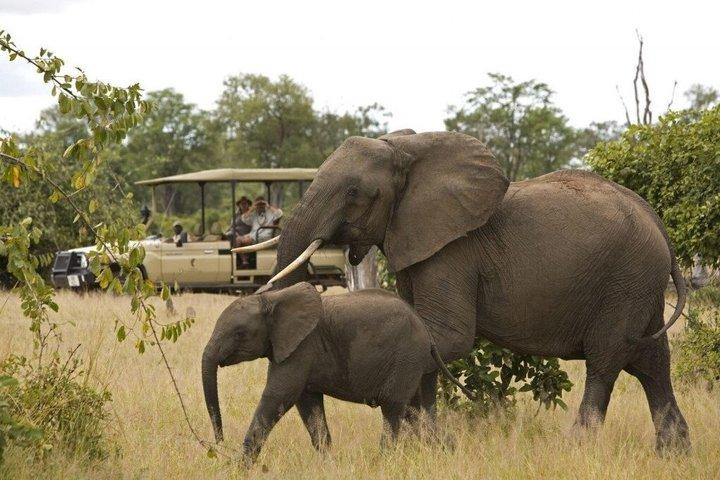 Hoteller i nærheden af Big 5 Safari Cango Caves Adventure Cape Town
