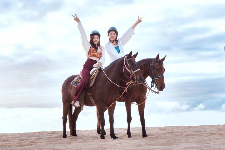 Los Cabos ATV & Horseback Riding Beach Adventure