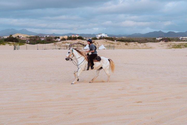 Los Cabos ATV & Horseback Riding Beach Adventure