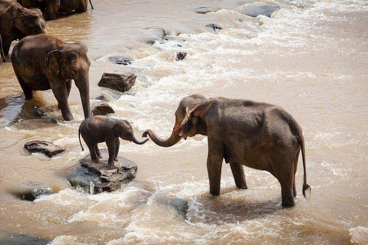 3 - Giorni Esperienza di Migrazione Masai Mara : Safari condiviso in jeep 4×4