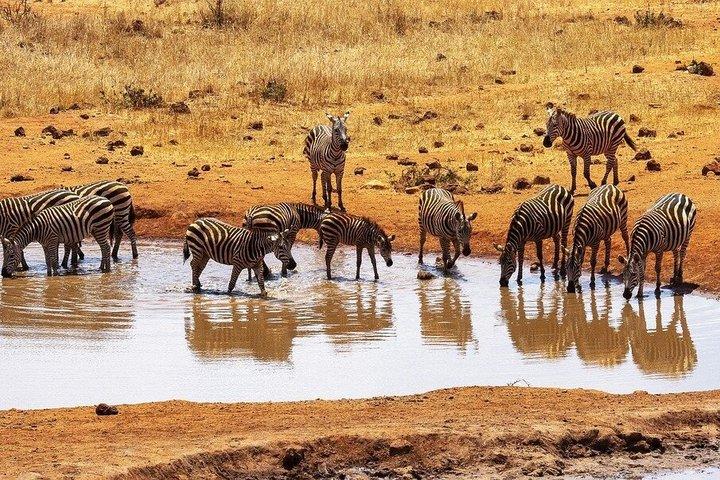 3 - Giorni Esperienza di Migrazione Masai Mara : Safari condiviso in jeep 4×4