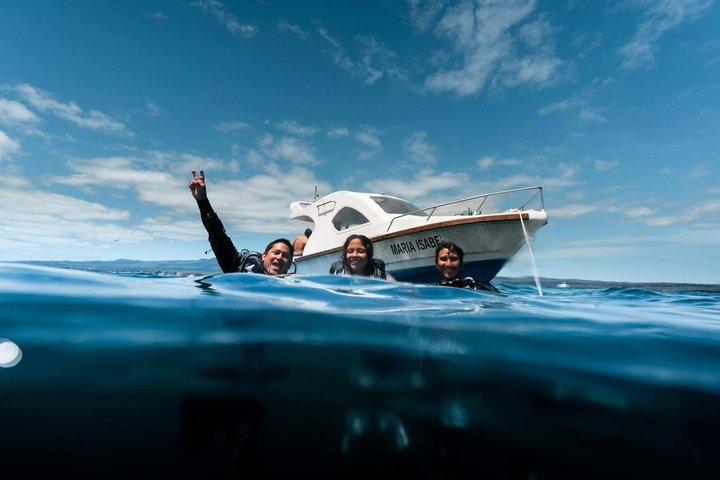 Buceo Discovery en Punta Estrada Santa Cruz