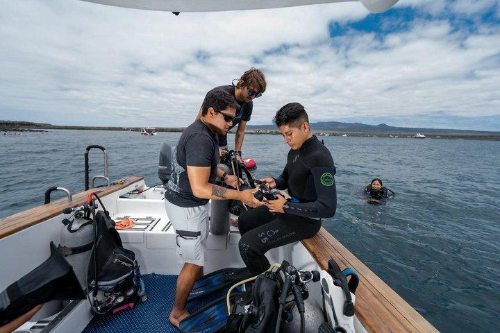 Buceo Discovery en Punta Estrada Santa Cruz