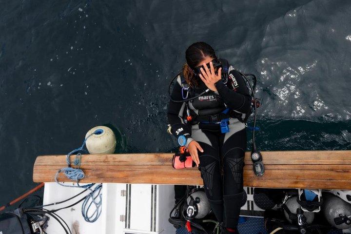 Buceo Discovery en Punta Estrada Santa Cruz