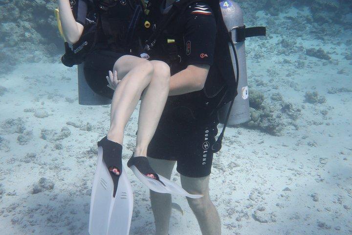 En dag dykning i Røde Hav med Transfer og Lunch-hurghada
