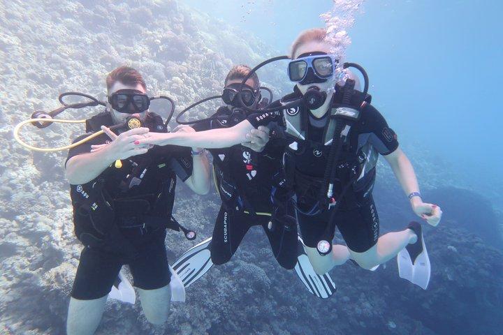 En dag dykning i Røde Hav med Transfer og Lunch-hurghada