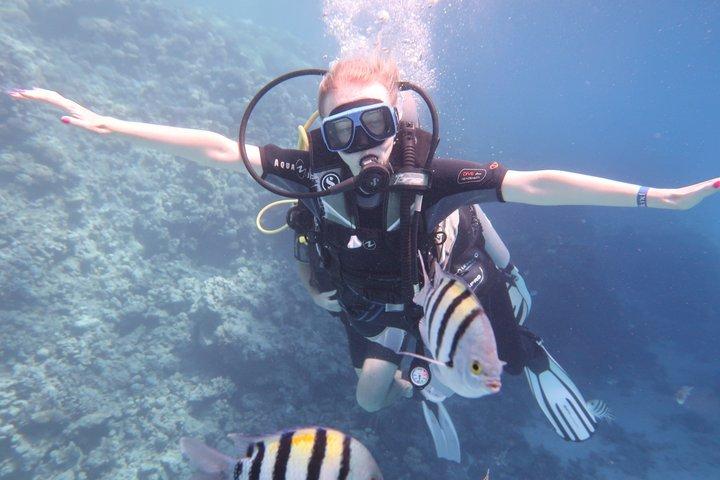 紅海一日ダイビング（送迎付き）とランチフルガダ