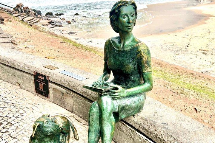 Rio de Janeiro Privéstranden en Natuurtour