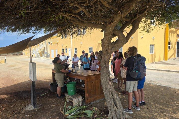 Det bedste ved Aruba weekend åbent bus Tours