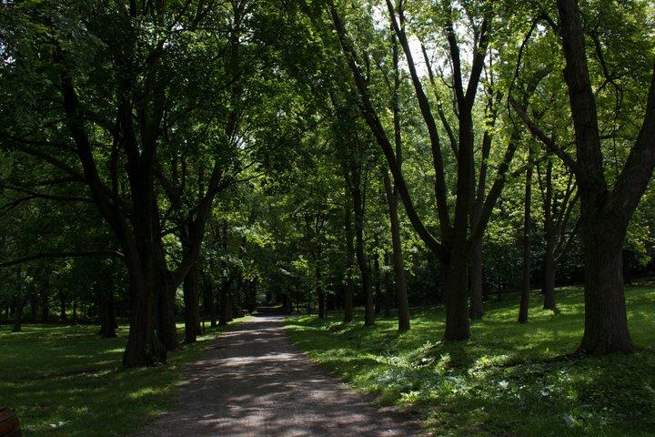 山の陰で：モントリオールのユダヤ人の歴史ウォーキング ツアー