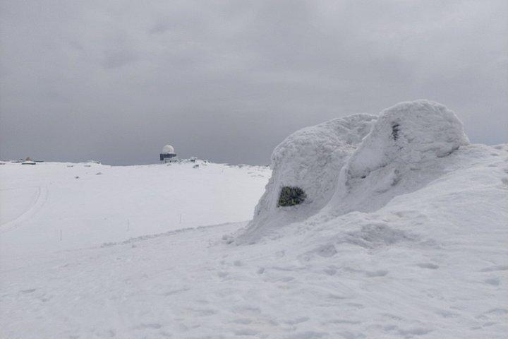 Sofia from above: Vitosha Mountain Nature Hike with Private Guide