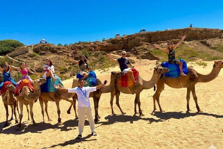 Tarifa to Tangier Day Trip: incluindo ferry, passeio de camelo e almoço