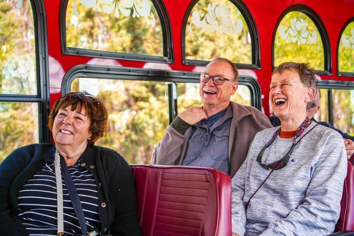 Anchorage Trolley's 1 - Uur Stadstour