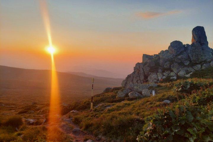 Sofia from above: Vitosha Mountain Nature Hike with Private Guide