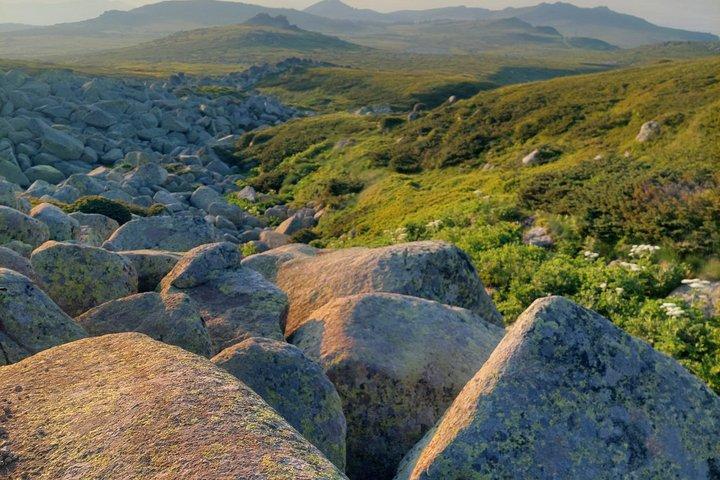 Sofia de cima: caminhada na natureza da montanha Vitosha com Guia Privado