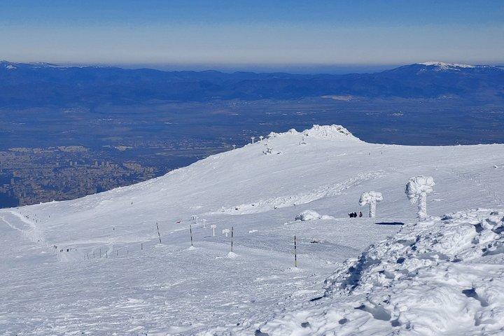 Sofia from above: Vitosha Mountain Nature Hike with Private Guide