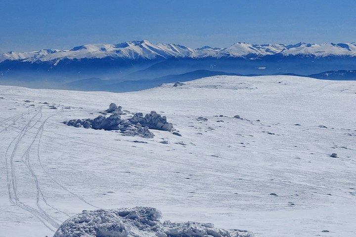 Sofia from above: Vitosha Mountain Nature Hike with Private Guide