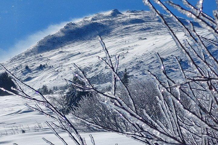 Sofia from above: Vitosha Mountain Nature Hike with Private Guide