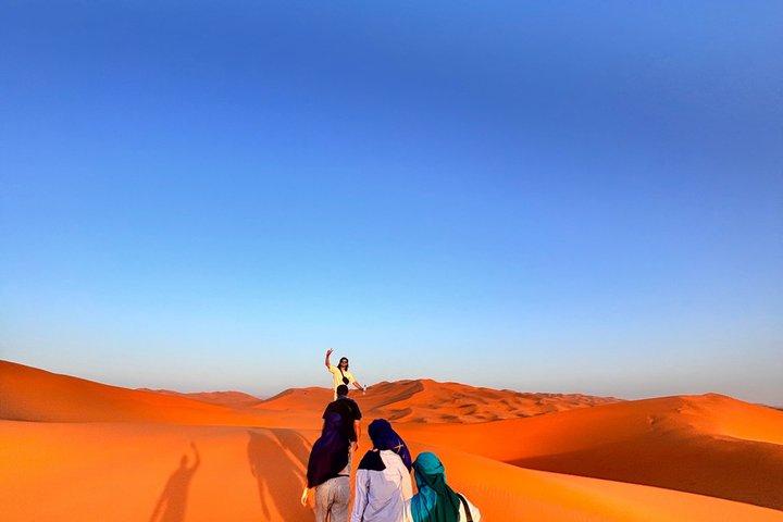 5 dage Sahara Trek og Kasbah Escape