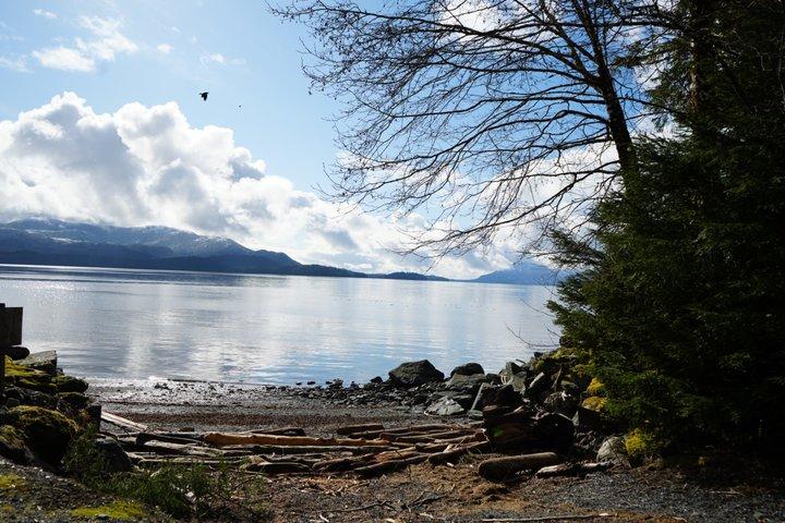 アラスカ野生動物の滝ツアー