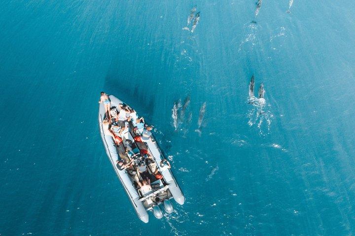 Kauai: Na Pali Raft Snorkel äventyr