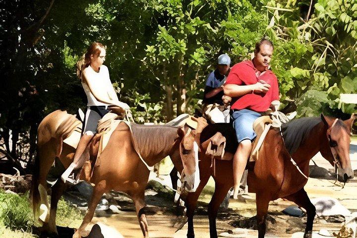 Horseback Riding to the Waterfalls