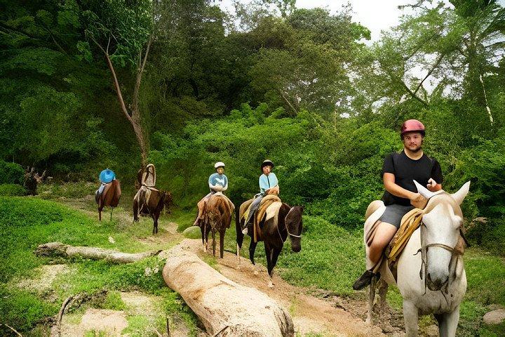 Horseback Riding to the Waterfalls