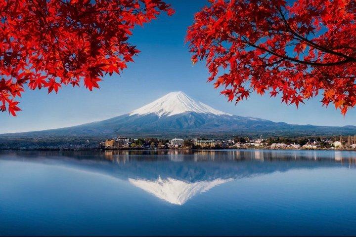 Mount Fuji Private Day Tour with English Speaking Driver