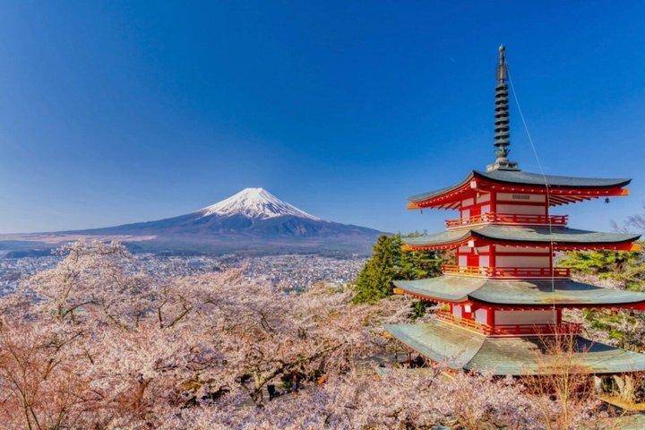 Mount Fuji Private Day Tour with English Speaking Driver