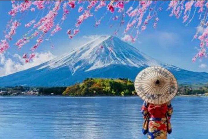 Mount Fuji Private Day Tour with English Speaking Driver