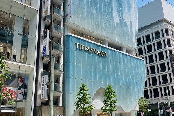 Private Tokyo Architecture Driver Guided Tour
