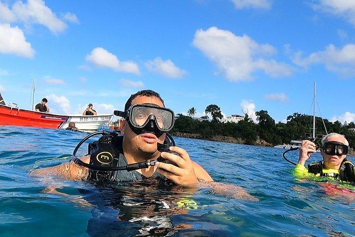 Scuba Diving in Puerto Plata