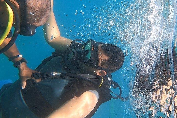 Scuba Diving in Puerto Plata