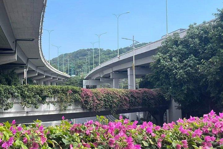 広州ローカルライフストリートフードツアー隠れたスポットと市場