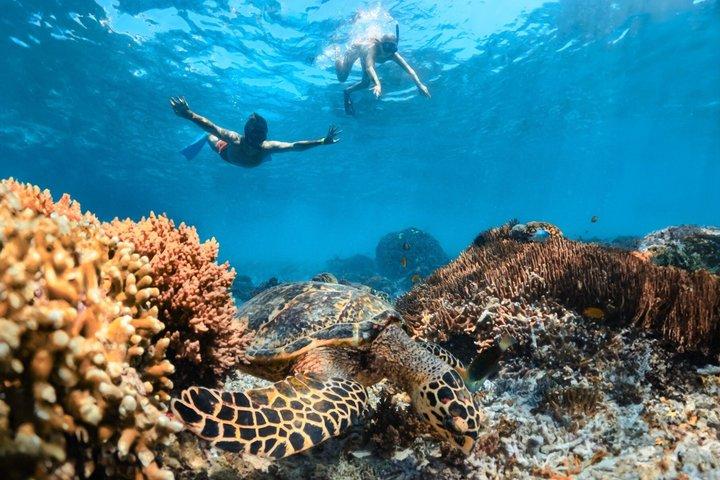 Bali Hai - Nusa Penida Adventure Cruise