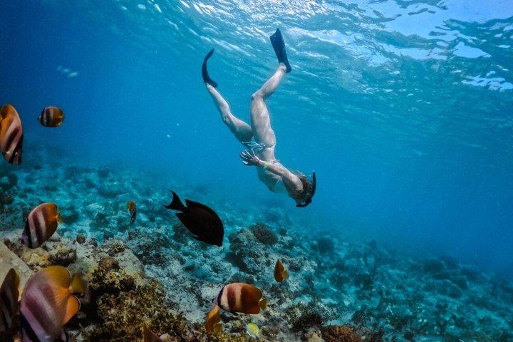 Bali Hai - Castaway Escape Cruise