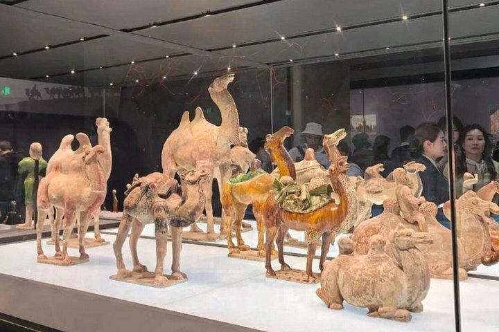 陝西省歴史博物館入場券