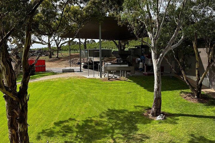 Barossaの詳細: ワインテイスティング、グルメランチ、隠れ家的逸品4選