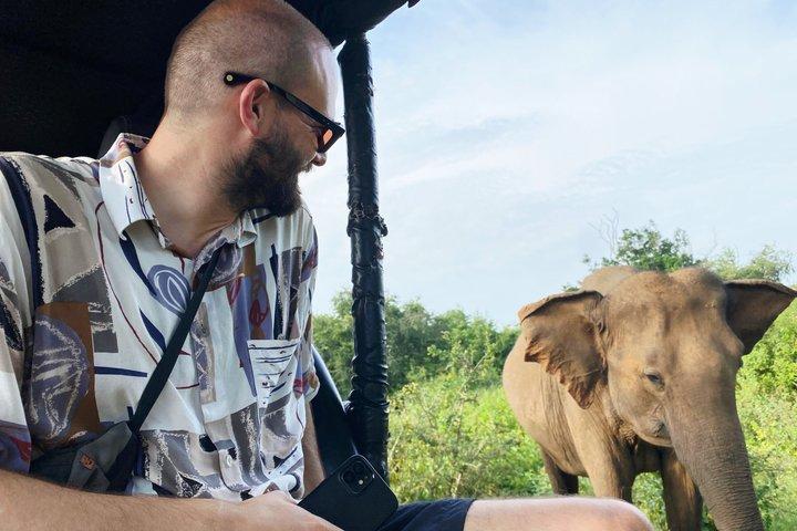 Udawalawe Safari Private Jeep Tour mit erfahrenem Fortgeschrittener
