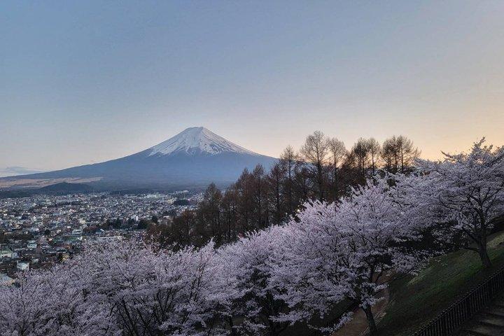 Mt. Fuji Private Car Tour from Tokyo with Pro Guide & Pro Driver