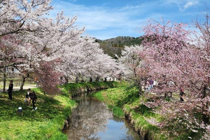 【2026 Summer】Mt. Fuji Private Car Tour from Tokyo with Pro Guide