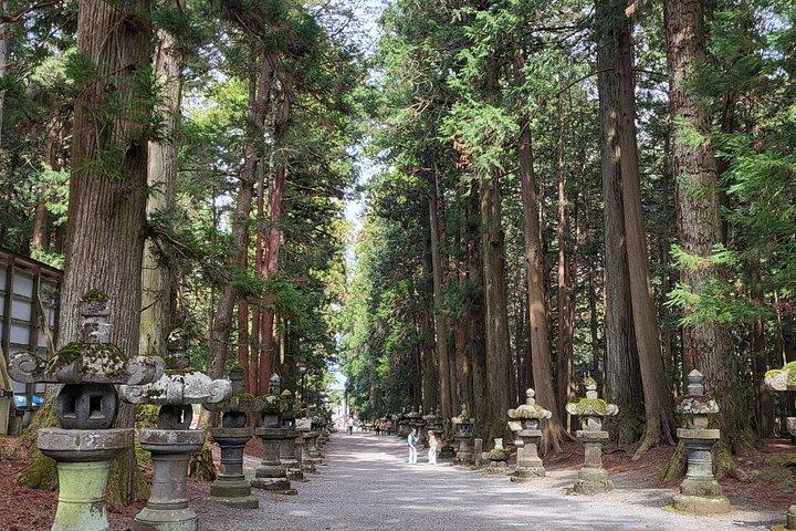 Mt. Fuji Private Car Tour from Tokyo with Pro Guide & Pro Driver