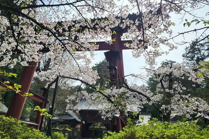 Mt. Fuji Private Car Tour from Tokyo with Pro Guide & Pro Driver