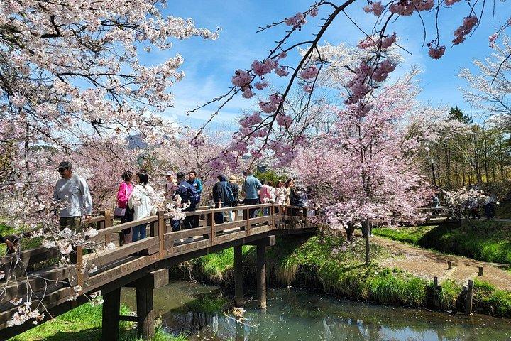 Mt. Fuji Private Car Tour from Tokyo with Pro Guide & Pro Driver