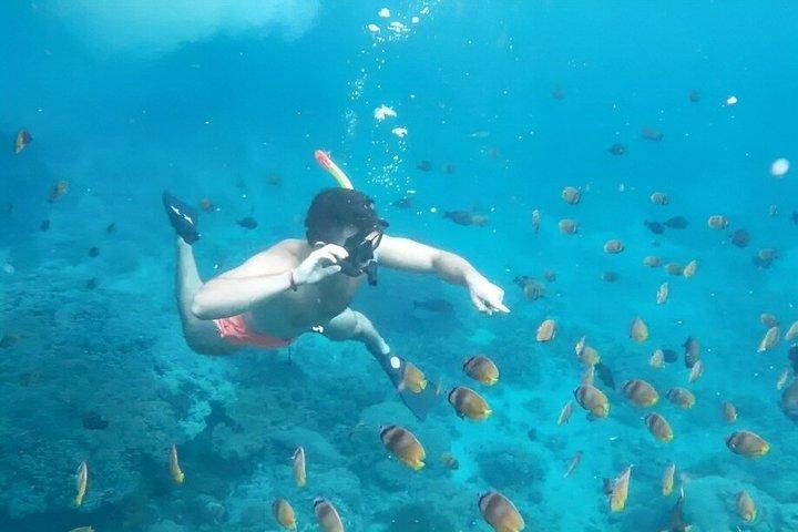 ヌサペニダ島オールインクルーシブ日帰り旅行