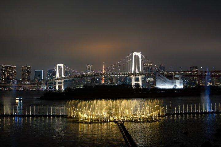 東京屋形船ディナークルーズ：すき焼き、ショー&東京タワーオプション